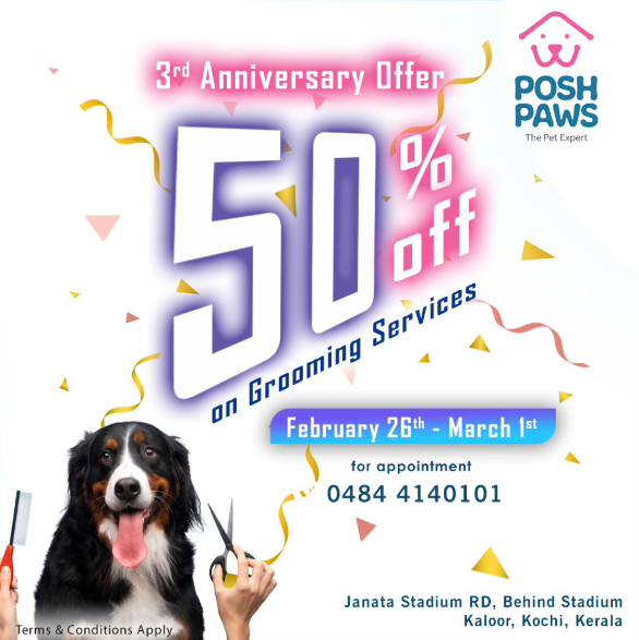 Posh paw pets Gallery Image